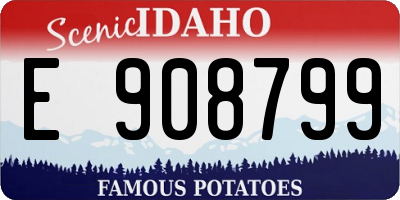 ID license plate E908799