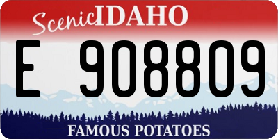 ID license plate E908809