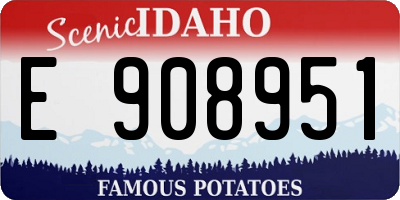 ID license plate E908951