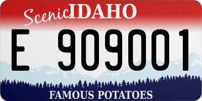 ID license plate E909001