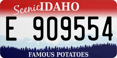 ID license plate E909554