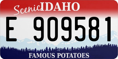 ID license plate E909581