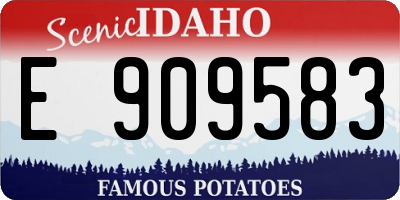 ID license plate E909583
