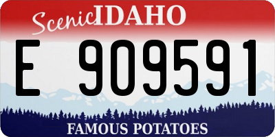 ID license plate E909591