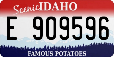 ID license plate E909596