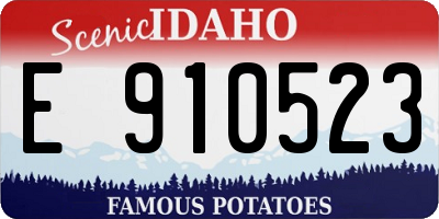 ID license plate E910523