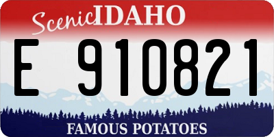 ID license plate E910821