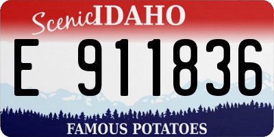 ID license plate E911836