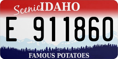 ID license plate E911860