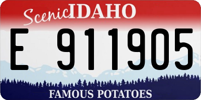 ID license plate E911905