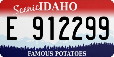 ID license plate E912299