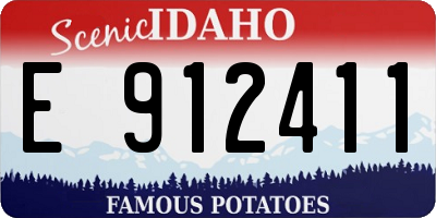 ID license plate E912411