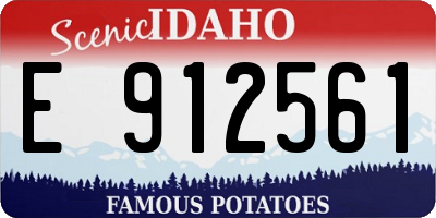 ID license plate E912561
