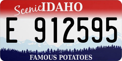 ID license plate E912595