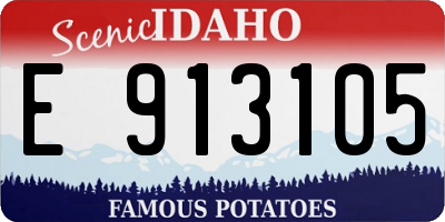 ID license plate E913105