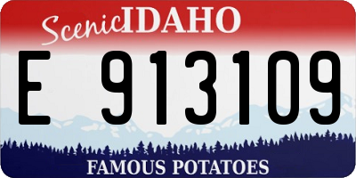 ID license plate E913109