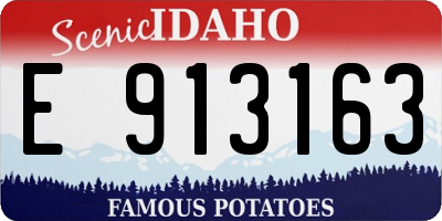 ID license plate E913163
