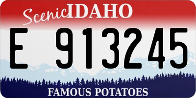 ID license plate E913245
