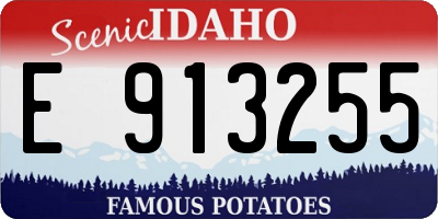 ID license plate E913255