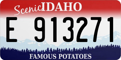 ID license plate E913271