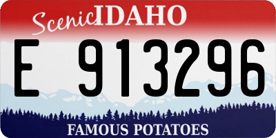 ID license plate E913296