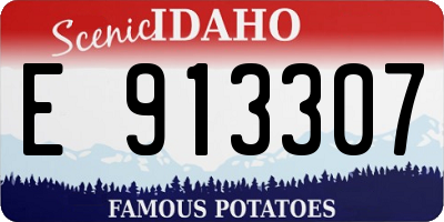 ID license plate E913307