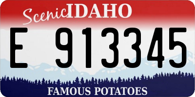 ID license plate E913345
