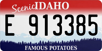 ID license plate E913385