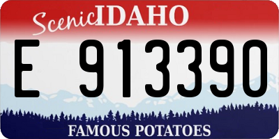 ID license plate E913390