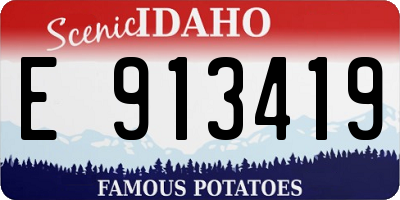 ID license plate E913419