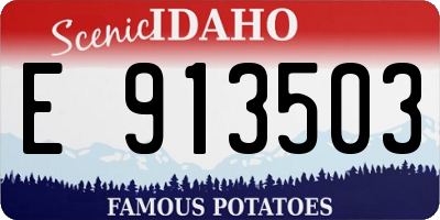 ID license plate E913503