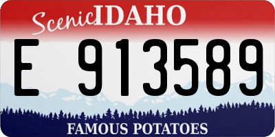 ID license plate E913589