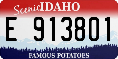 ID license plate E913801