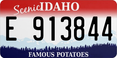 ID license plate E913844