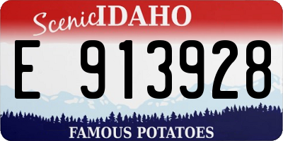 ID license plate E913928