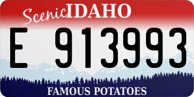 ID license plate E913993