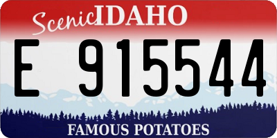 ID license plate E915544