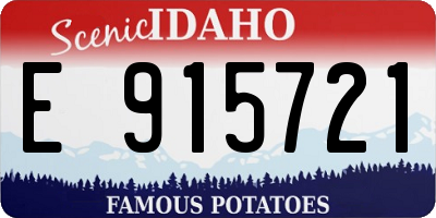 ID license plate E915721