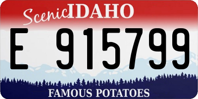 ID license plate E915799