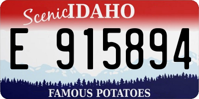 ID license plate E915894