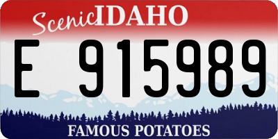ID license plate E915989