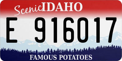 ID license plate E916017