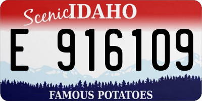 ID license plate E916109