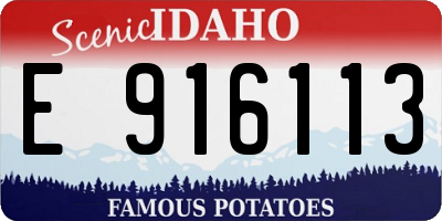 ID license plate E916113