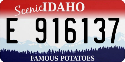ID license plate E916137