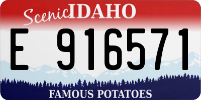 ID license plate E916571