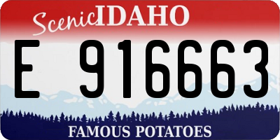 ID license plate E916663
