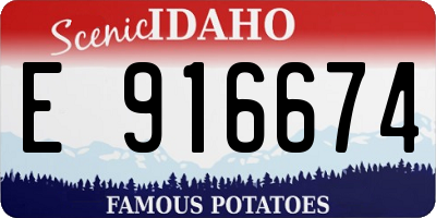 ID license plate E916674