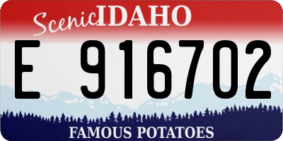 ID license plate E916702