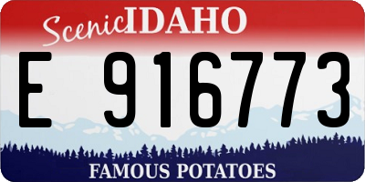 ID license plate E916773